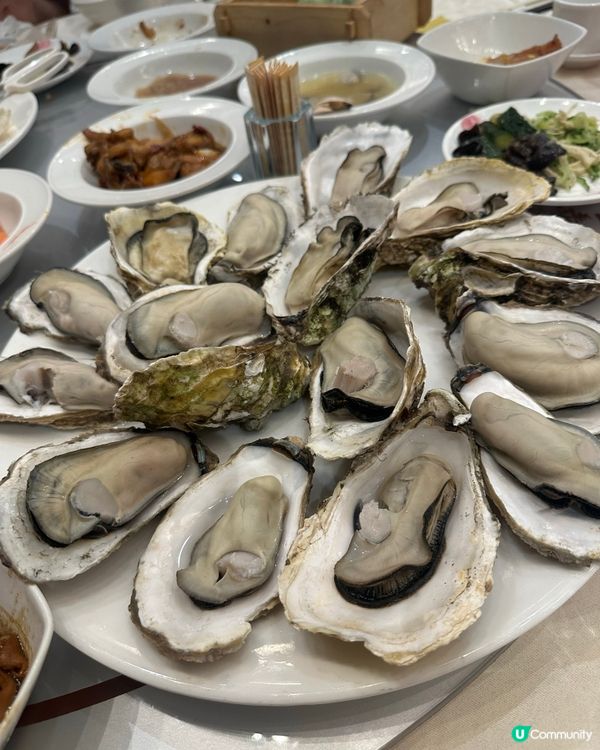 蠔飲鮑食飽，蟹腳放題！