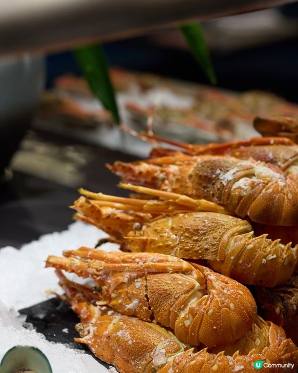 🇨🇳深圳酒店自助餐🍽️🦞🦐🥘即焗肥大波士頓龍蝦