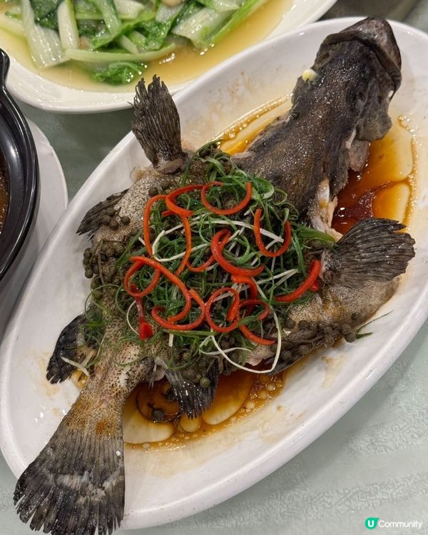 鹽田海鮮大排檔！鑊氣爆燈🔥🤤