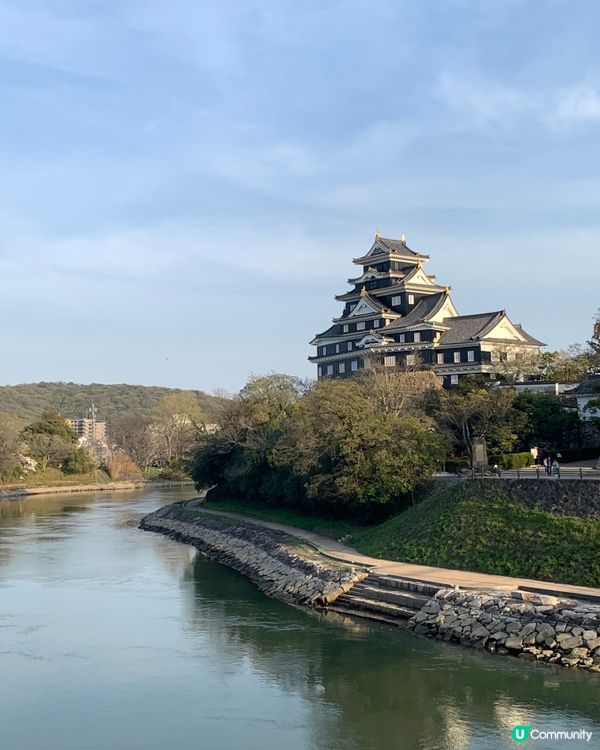 曾經是藩主的岡山後樂園 賞春櫻🌸🌸
