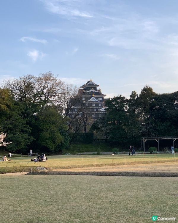 曾經是藩主的岡山後樂園 賞春櫻🌸🌸