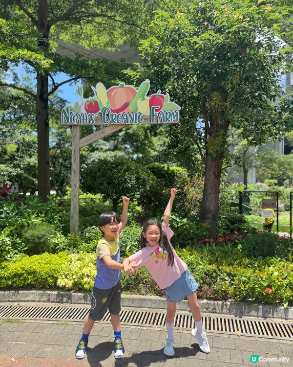 【最後召集!香港挪亞方舟｢夏日體驗營2025 🥳】