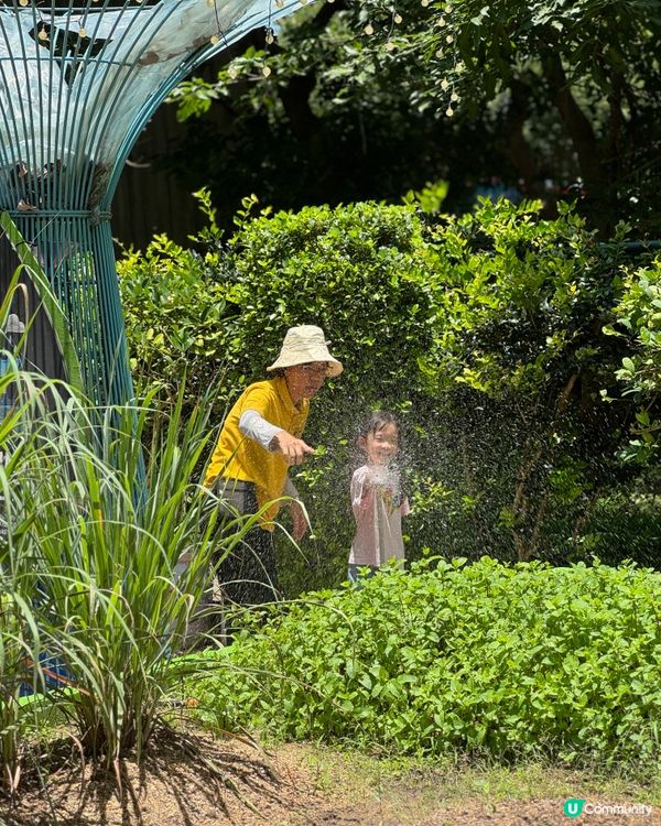 【最後召集!香港挪亞方舟｢夏日體驗營2025 🥳】