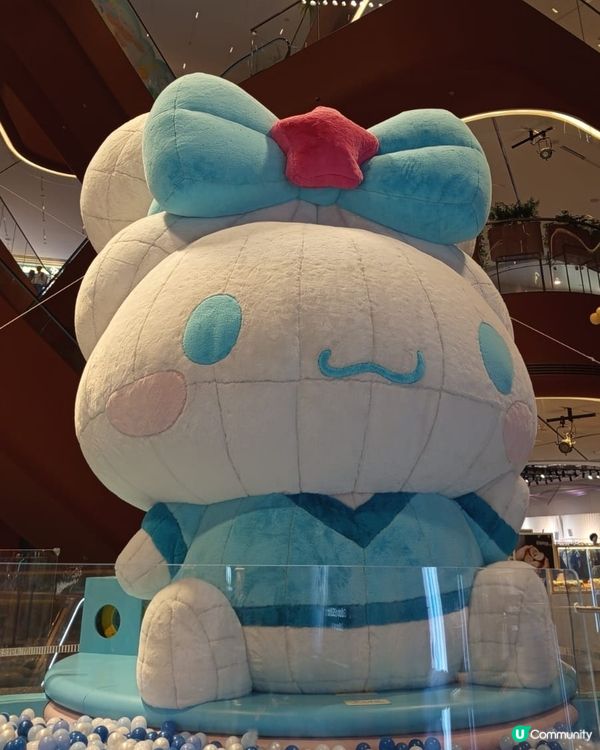 🍥玉桂狗運動樂園GO Go Go 💨🍥