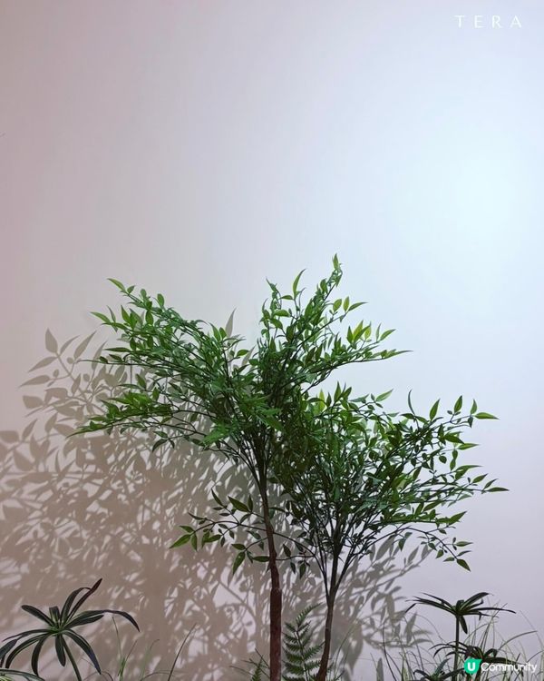 大圍日式木系cafe 必食梳乎厘班戟