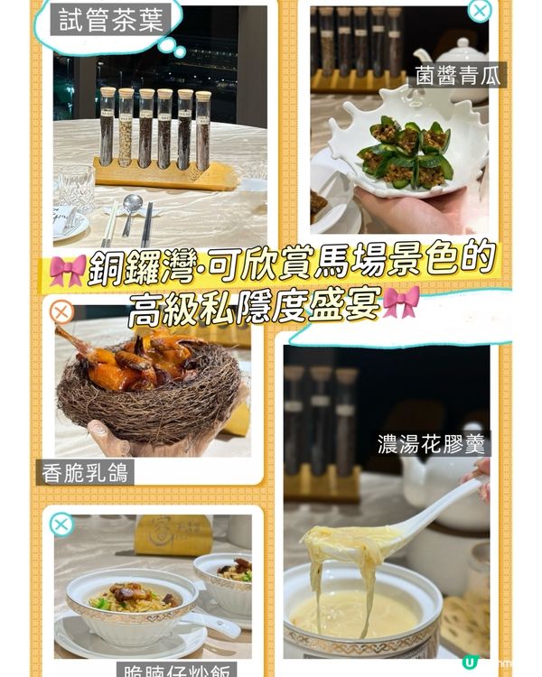 🎀銅鑼灣。可欣賞馬場景色的高級私隱度盛宴🎀