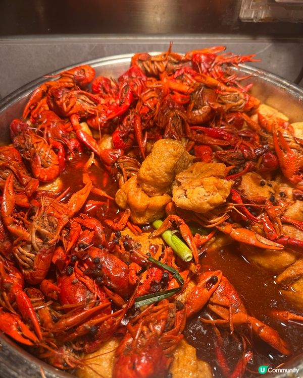 極尚大瀛喜放題🤤！$258任食任飲！🍣🍻