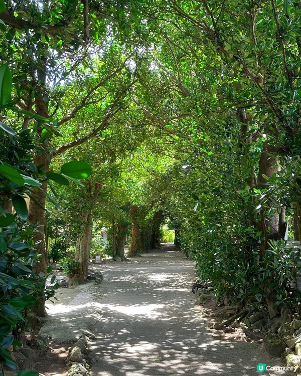 推薦沖繩日式Cafe🤩 