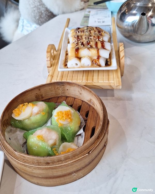 鳳城1954 寵物友善！點心超可愛😍！