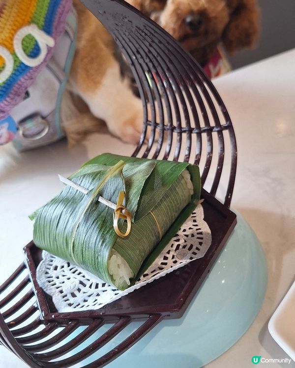 鳳城1954 寵物友善！點心超可愛😍！