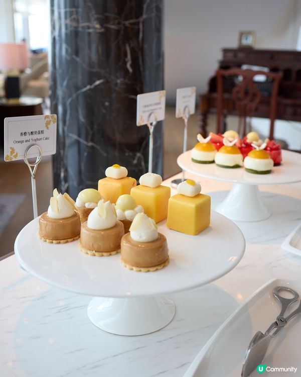 深圳快閃🇨🇳 東海朗廷酒店⭐ 尊貴體驗