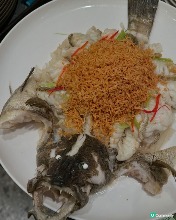 銅鑼灣寵物友善茶樓！高CP值點心😋 帶埋毛孩去飲茶