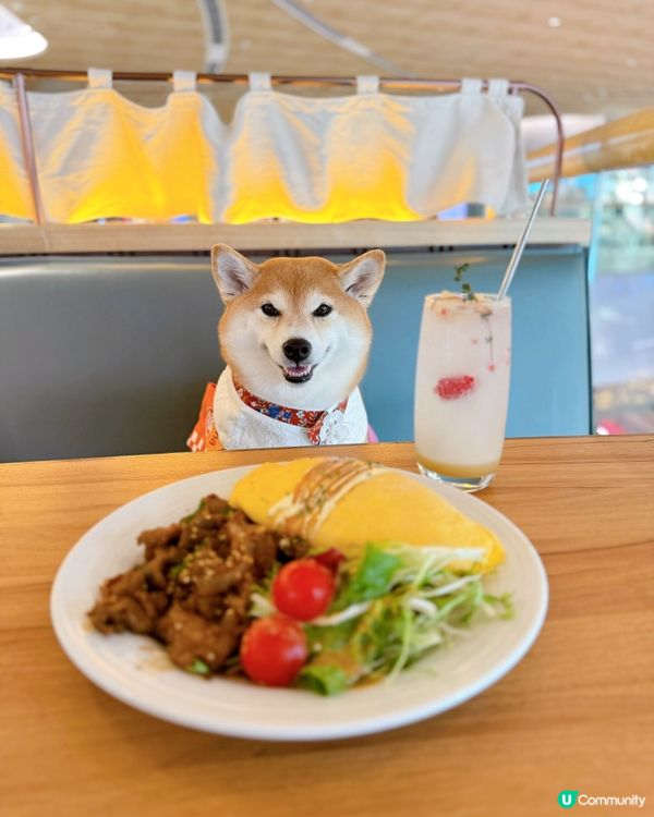 / 帶毛孩食小清新韓式料理 \