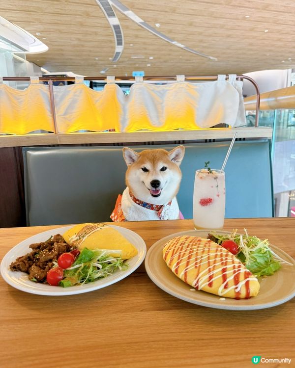 / 帶毛孩食小清新韓式料理 \