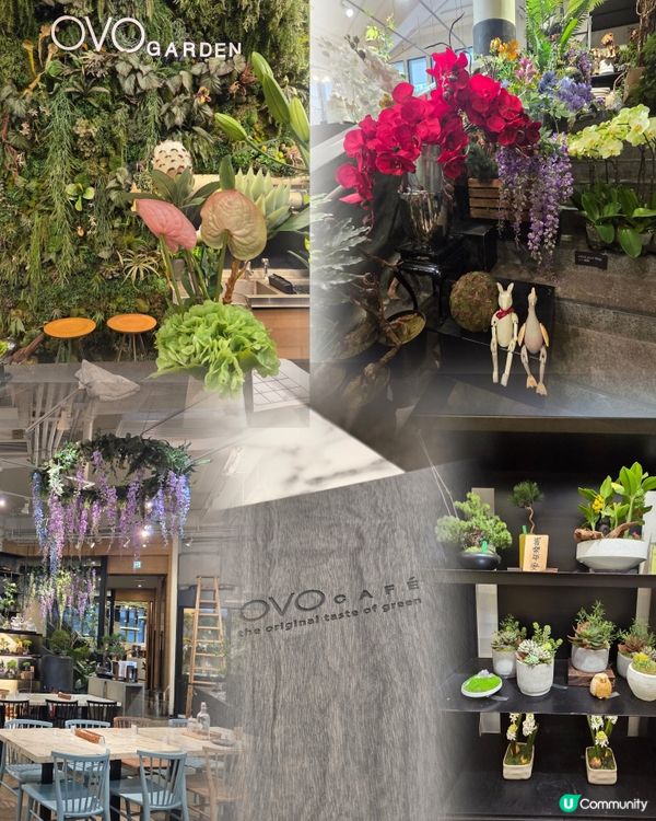 高質健康素食🥗