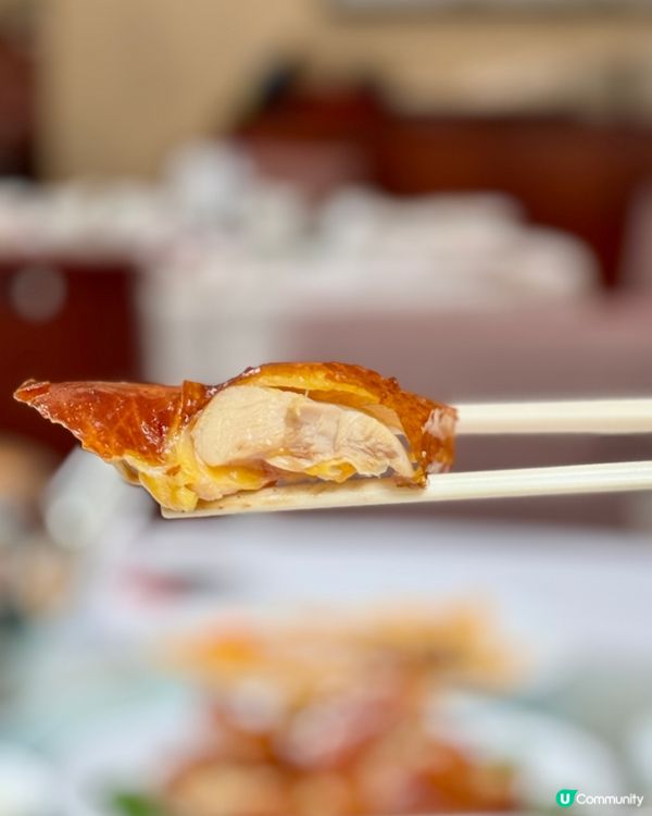 【尖咀凱悅軒】涼瓜宴，苦盡甘來😋！