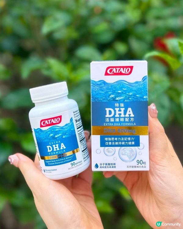 💙活腦補眼好物