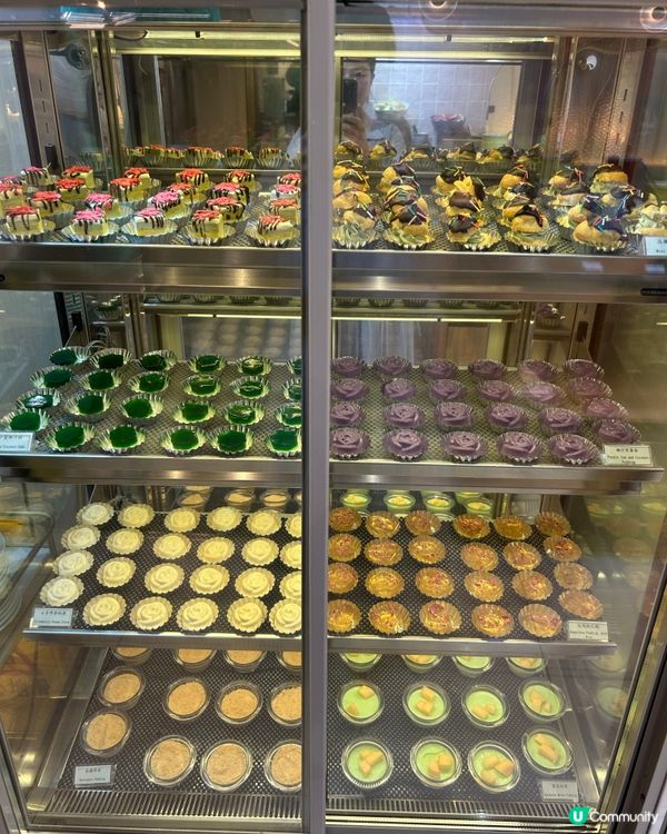 火鍋🍲連放題🍠🥦🧇🍰🧁