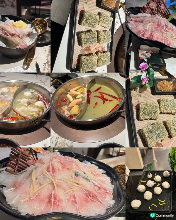 脆鯇火鍋🤤！爽彈魚肉😋！深圳灣必食！