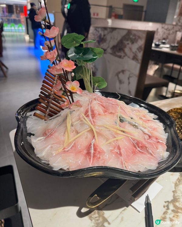 脆鯇火鍋🤤！爽彈魚肉😋！深圳灣必食！