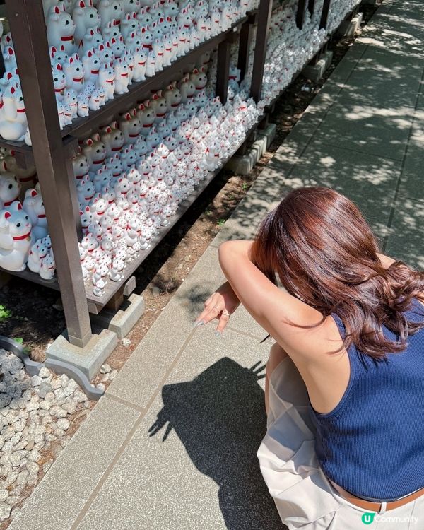 日本東京必去豪德寺！超可愛招福貓😆