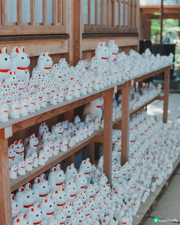 日本東京必去豪德寺！超可愛招福貓😆