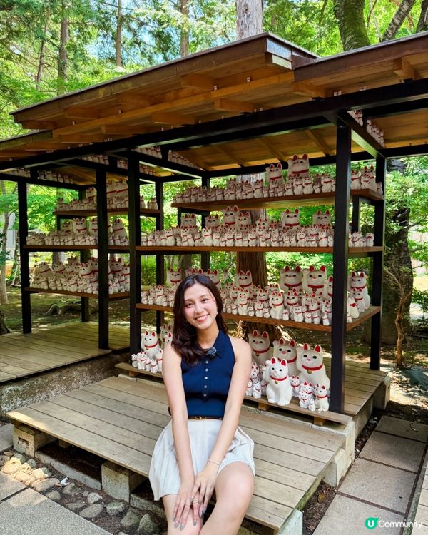 日本東京必去豪德寺！超可愛招福貓😆
