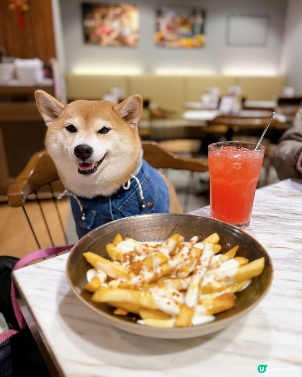 / 帶毛孩食美國菜 \