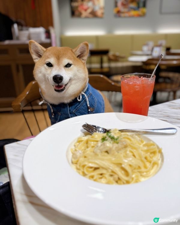 / 帶毛孩食美國菜 \