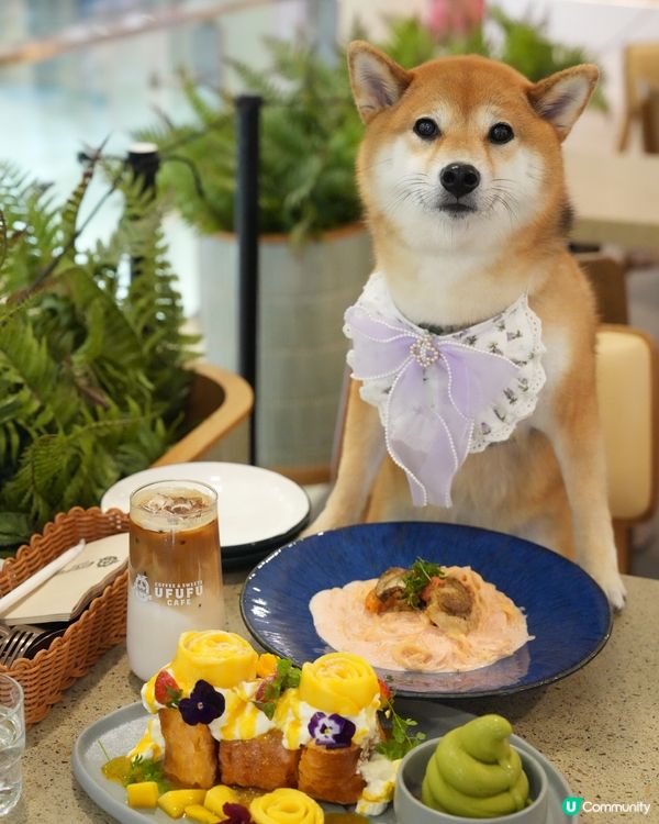 估唔到可以帶矇一齊去食Ufufu💜