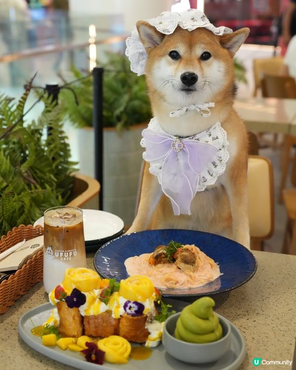 估唔到可以帶矇一齊去食Ufufu💜