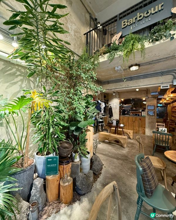 深水埗⭐️舊樓變身咖啡店🌿打卡一流📸！