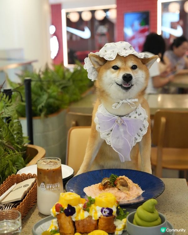 甜品勁靚勁好食