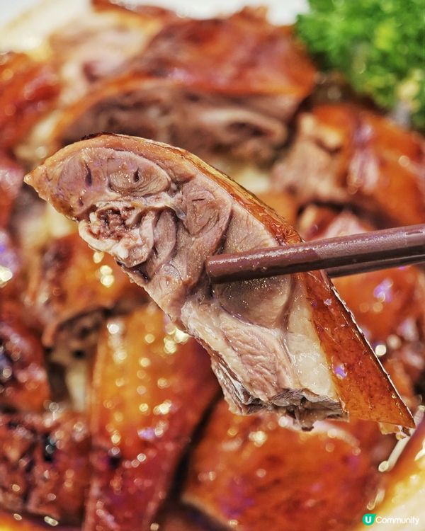 維港🌃靚景😍高質🥢中菜