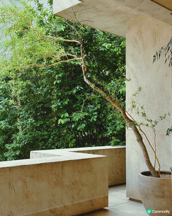 ☕ 弘大超舒服咖啡店推薦｜PiTC Coffee Chill