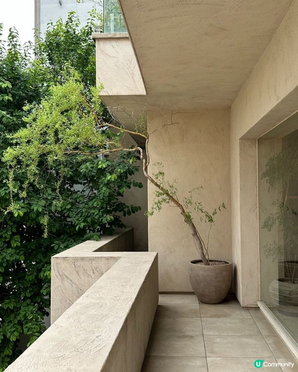 ☕ 弘大超舒服咖啡店推薦｜PiTC Coffee Chill