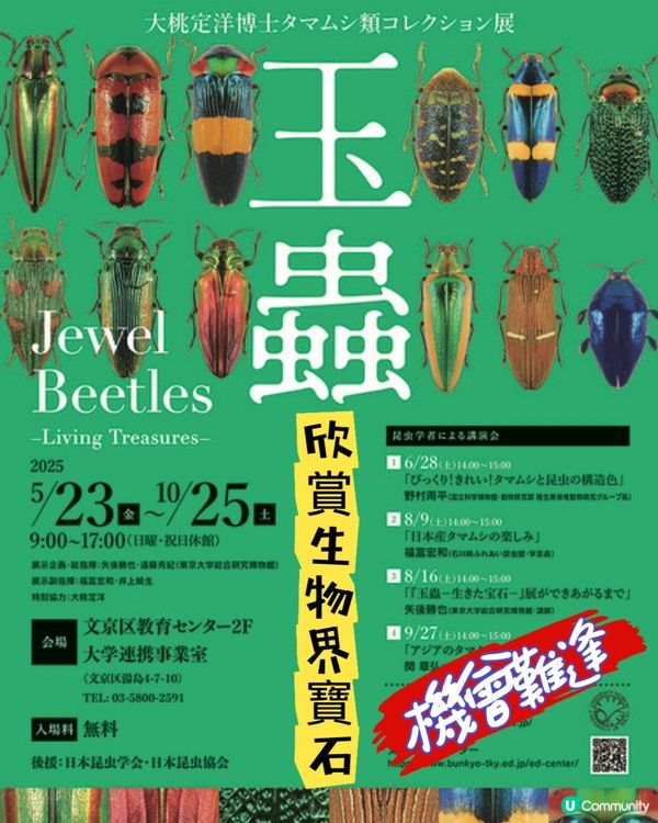 欣賞寶石💎般既蟲蟲x24000隻😆