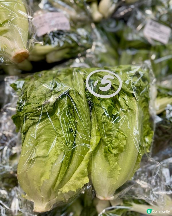 惠康鮮菜🥬！$5買到靚菜🤩！
