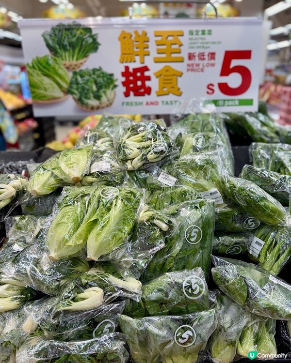 惠康鮮菜🥬！$5買到靚菜🤩！