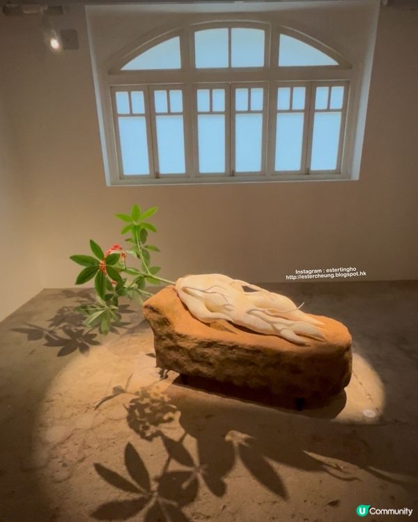 紅磚瓦頂香港歴史建築 💕 免費參觀 3 大展覧
