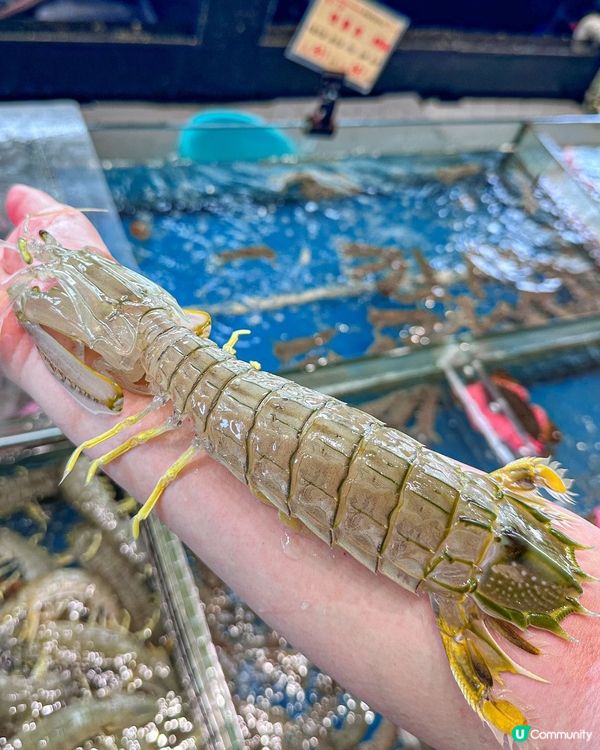 深圳海景酒樓，人均百蚊食到爆！🦀🌅