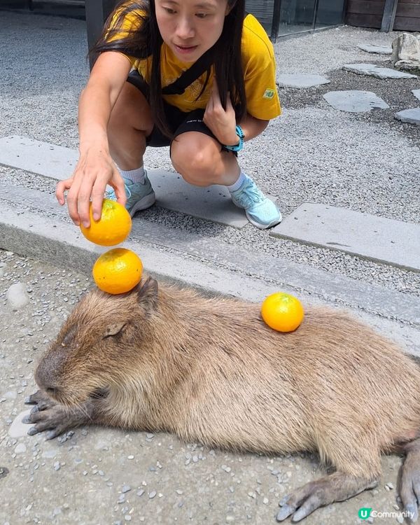 ✈️快閃5天台北之旅👨‍👧‍👧