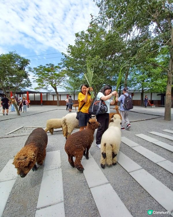 ✈️快閃5天台北之旅👨‍👧‍👧