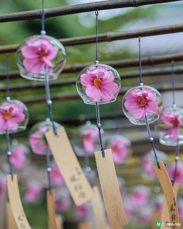 🎐京都夏日風物詩｜正壽院風鈴祭攻略