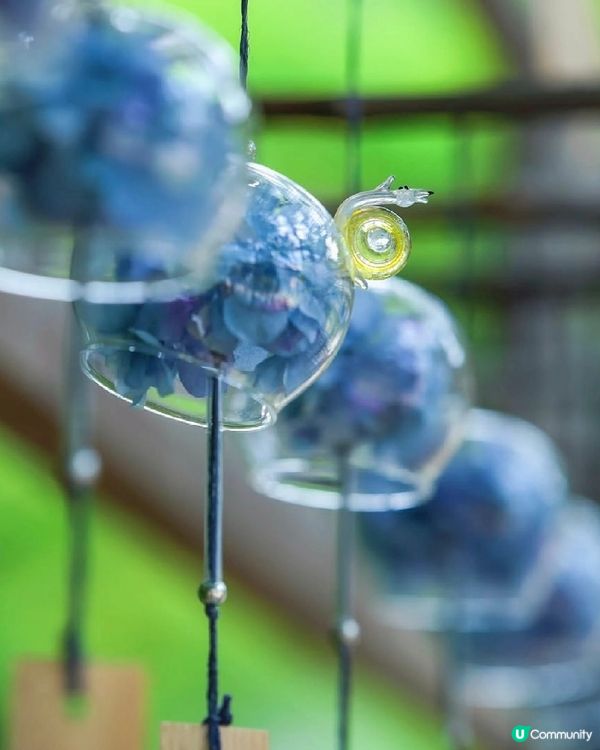 🎐京都夏日風物詩｜正壽院風鈴祭攻略