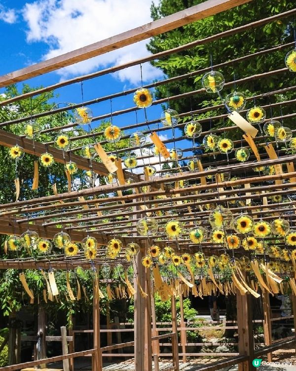 🎐京都夏日風物詩｜正壽院風鈴祭攻略