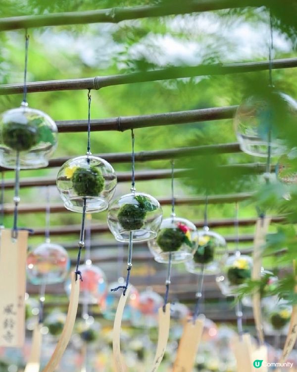 🎐京都夏日風物詩｜正壽院風鈴祭攻略