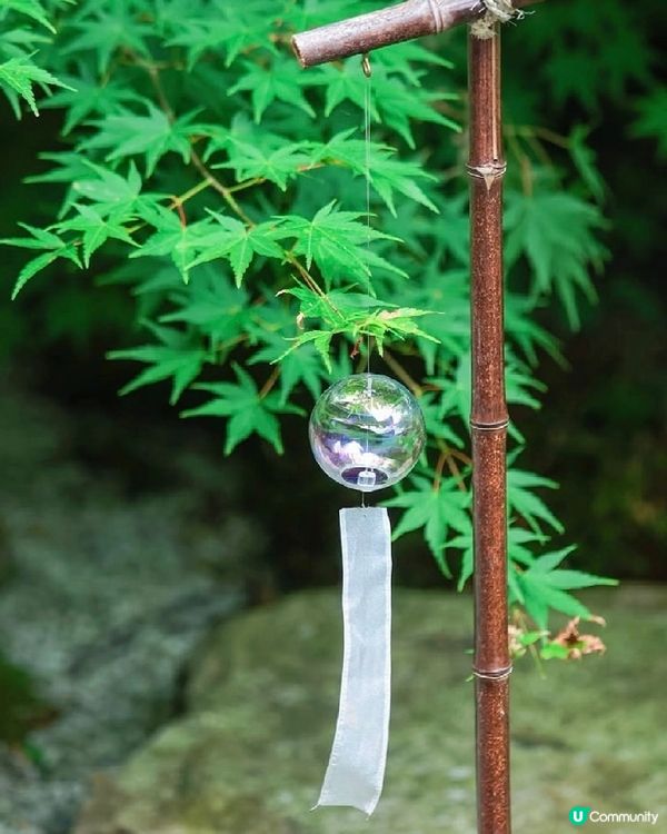 🎐京都夏日風物詩｜正壽院風鈴祭攻略