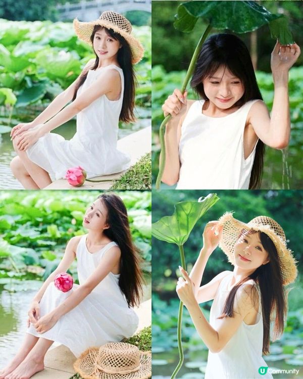 深圳荷花展開鑼！免費入場！附5大影相位+打卡攻略📸