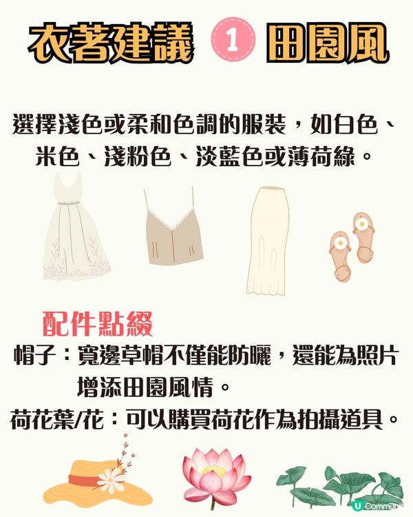 深圳荷花展開鑼！免費入場！附5大影相位+打卡攻略📸